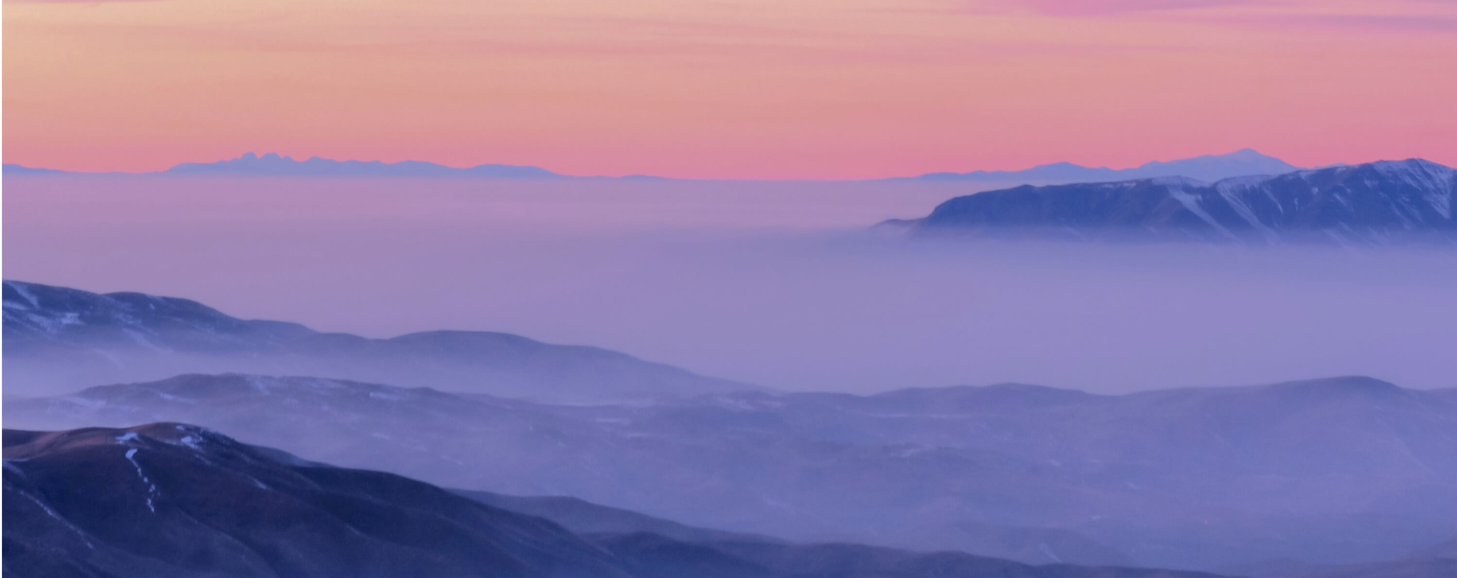 雙向國際旅行社 ＿ 企業形象網站